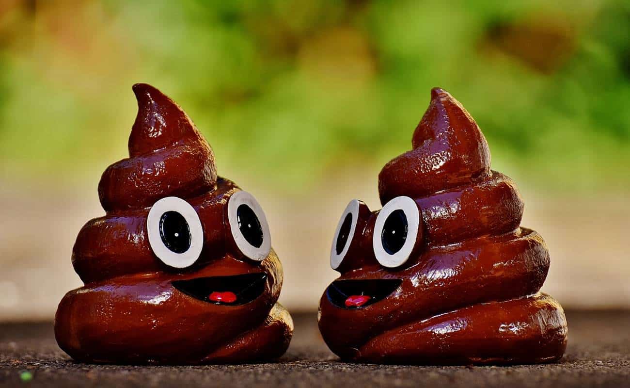 curiosidades surpreendentes sobre o coco 1