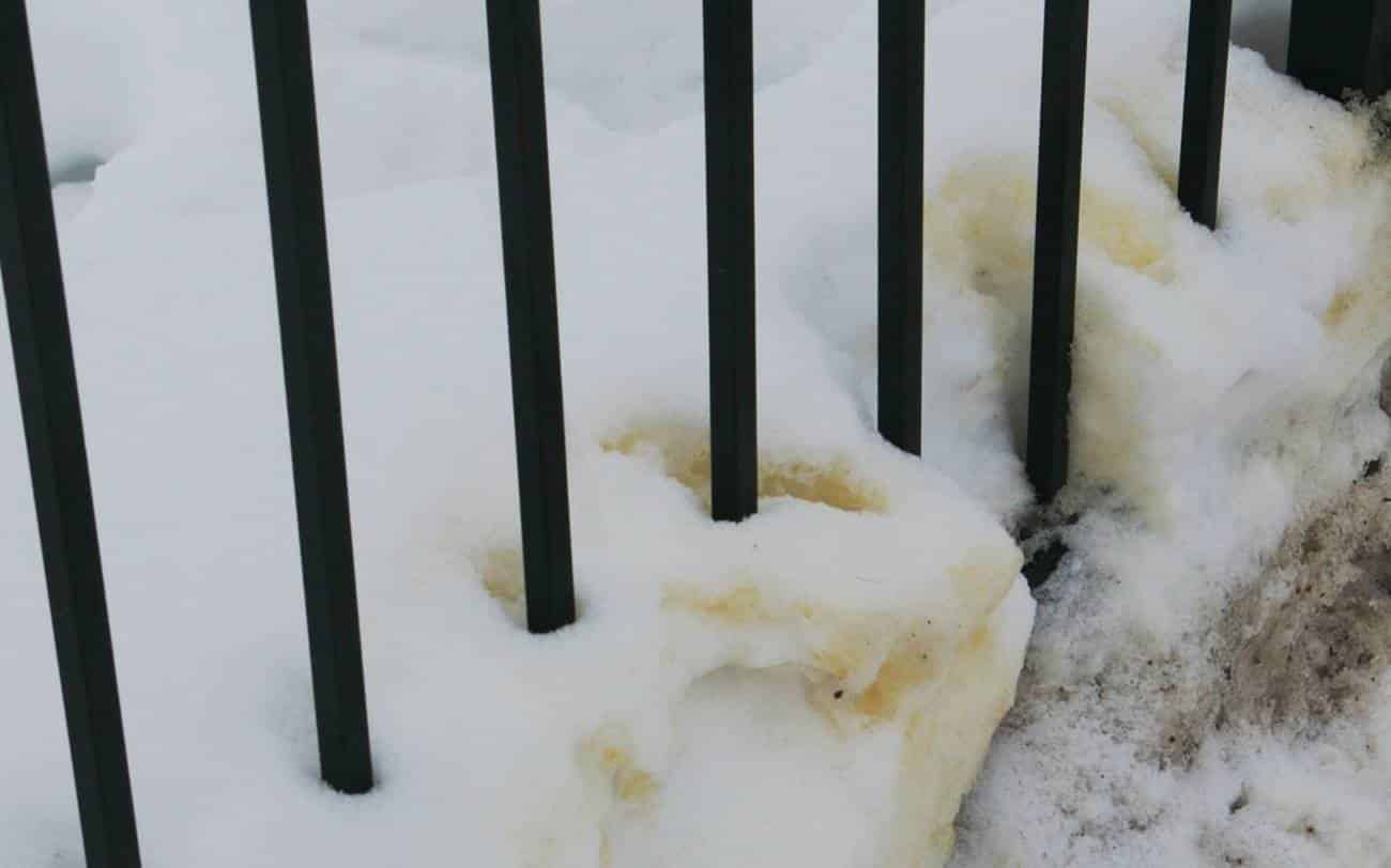 e seguro comer neve 2