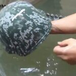 o que e pintura hidrografica