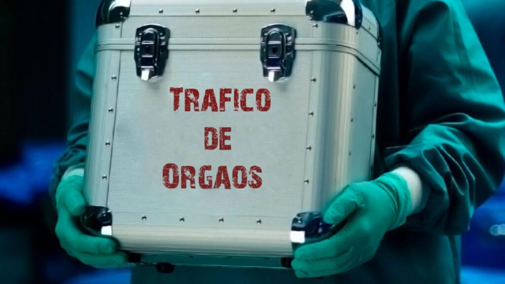 quais sao os orgaos mais caros do mercado negro zona curiosa 2