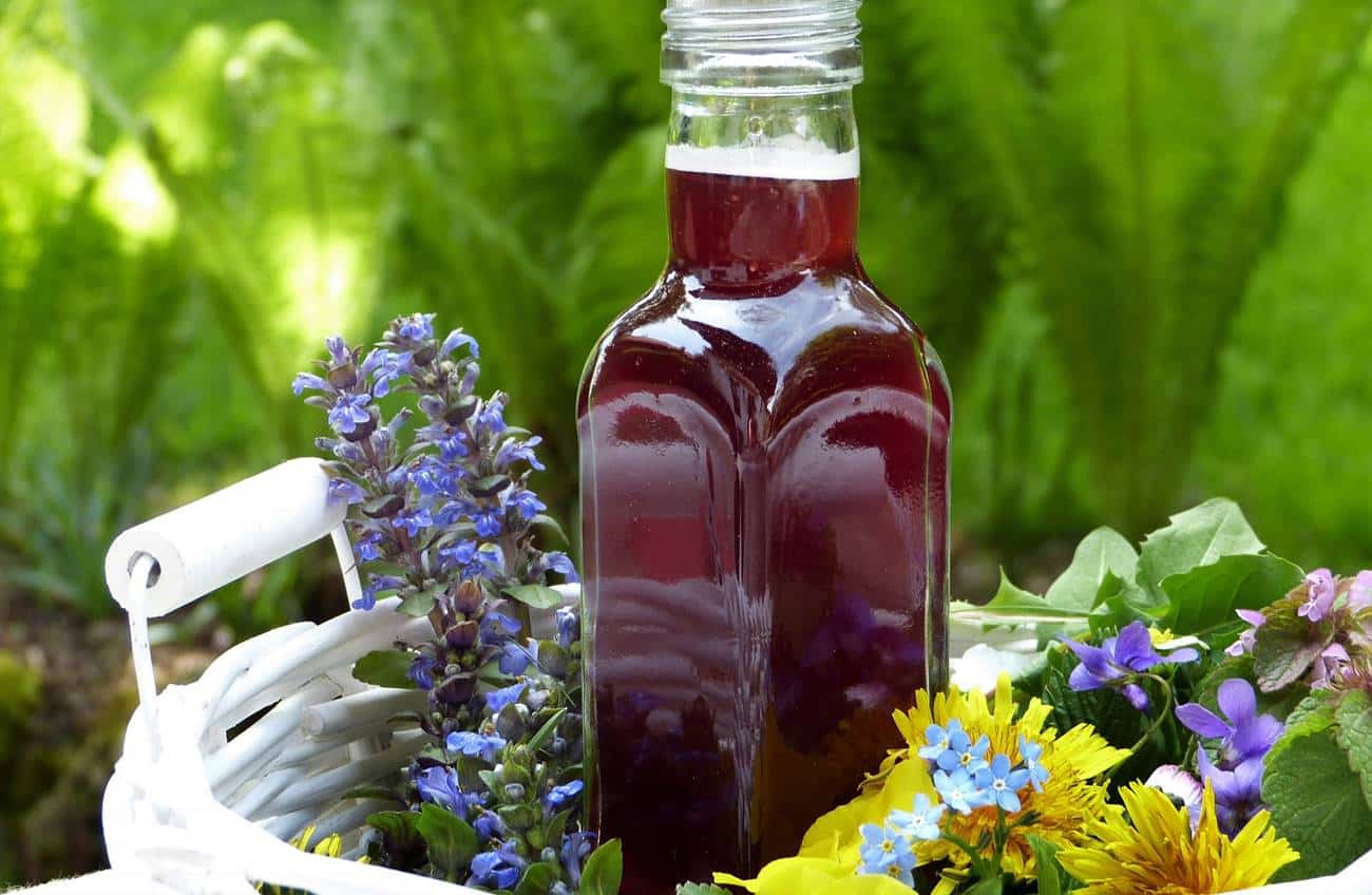 beneficios suco de uva integral saude 1