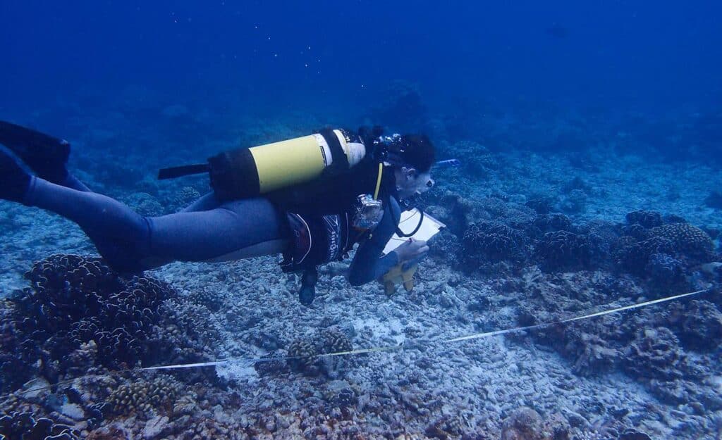 O que faz um oceanógrafo? – Zona Curiosa