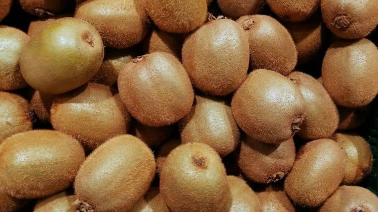 Casca do kiwi