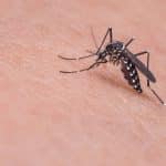 Pessoas mais picadas por mosquitos