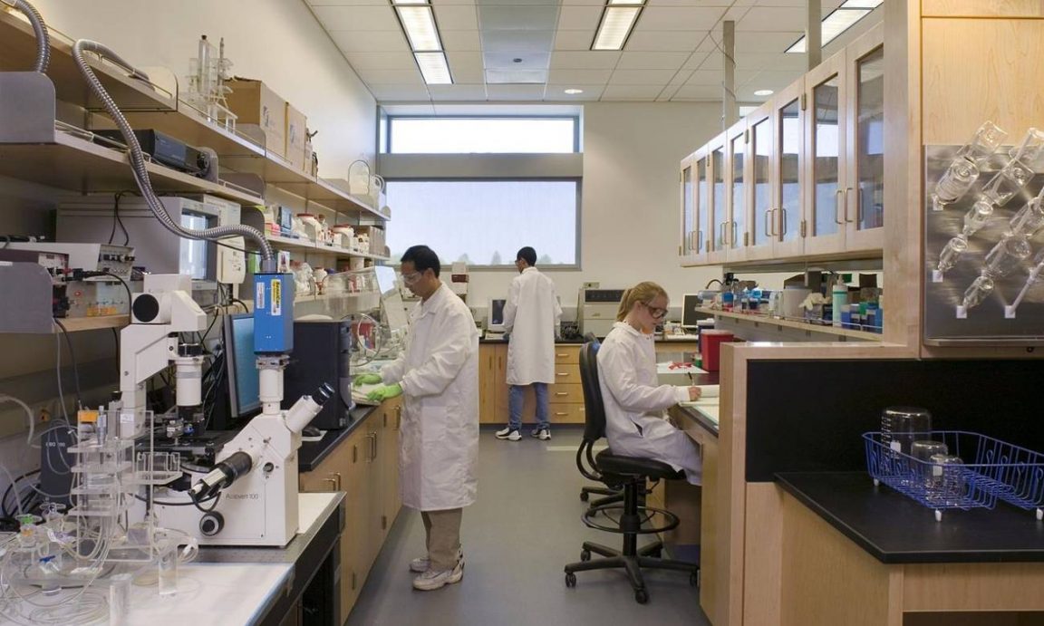 O que faz um engenheiro biomédico? – Zona Curiosa