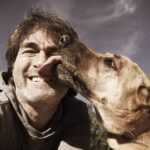 Cachorros lambem os donos