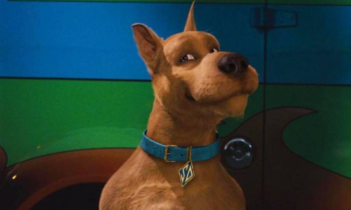 Qual é a raça do Scooby-Doo? - Zona Curiosa