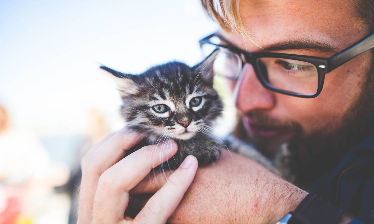 por que os animais nao falam como os humanos 3 1