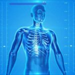 Elementos no corpo humano