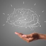 quais sao os maiores mitos sobre o cerebro humano