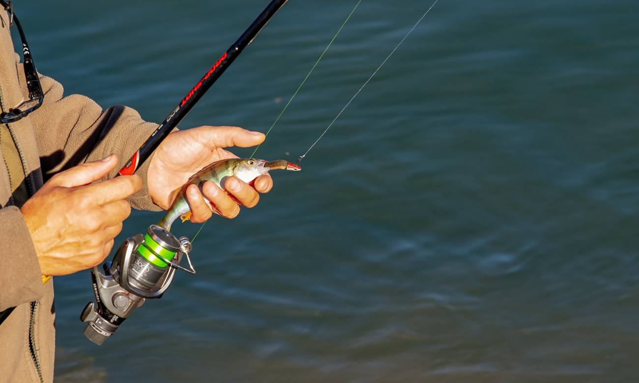 curiosidades incriveis sobre peixes 1