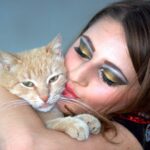 Beijos em gatos
