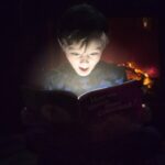 Livros de ficção