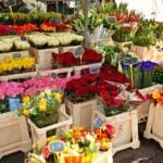 Flores são caras