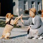 Cães são leais aos humanos