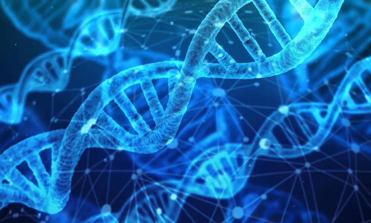 DNA