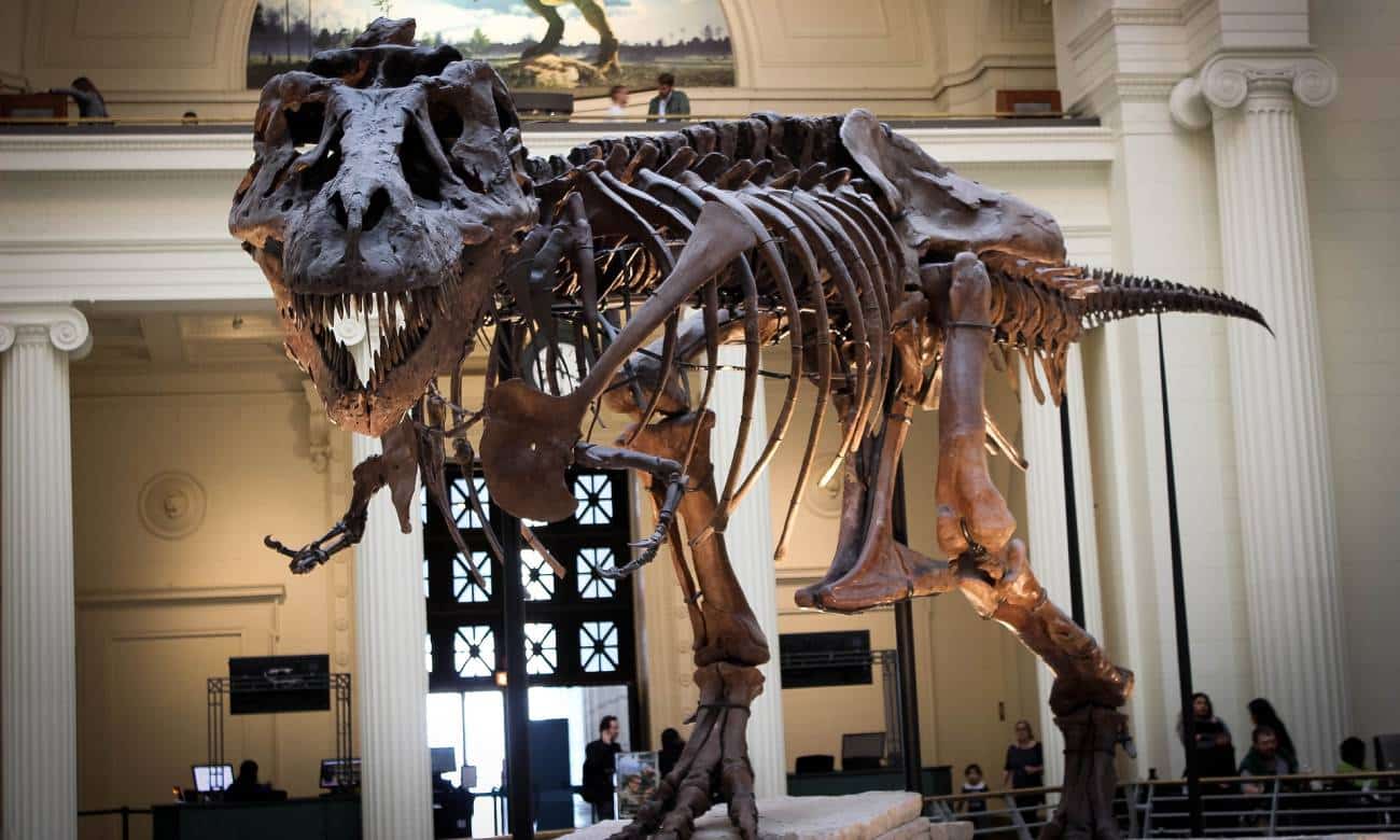 e possivel recriar os dinossauros a partir de dna 2