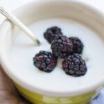 o que sao os probioticos e por que eles sao importantes