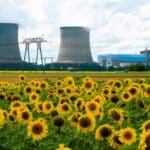 Girassóis em locais de desastres nucleares