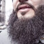 Barbas