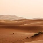 Desertos
