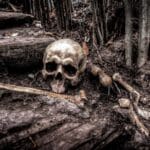 Ossos demoram para se decompor