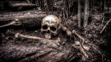 Ossos demoram para se decompor