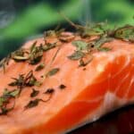 Salmão