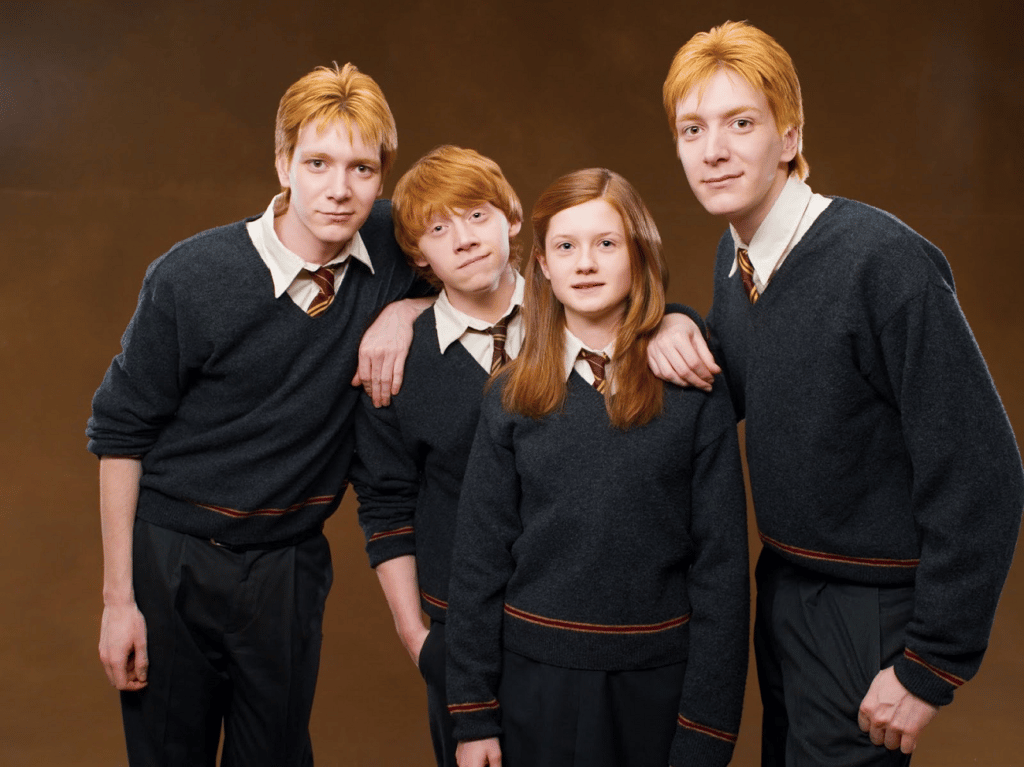 Ron Weasley: As 10 Melhores Curiosidades Sobre o Personagem