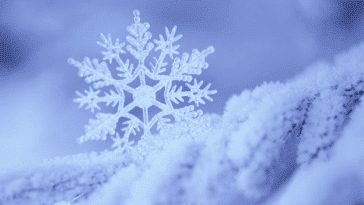 Flocos de Neve: O Que São e Como se Formam?