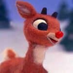 rudolph zona curiosa