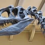 DINOSSAURO CAPA
