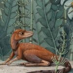 EXTINCAO CAPA