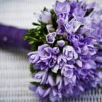 FLOR CAPA