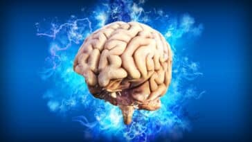 CEREBRO CAPA