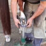 por que os cavalos usam ferraduras