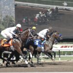 Análise do Mr Bet Brasil bônus e promoções, registro, apostas e muito mais em nossa análise!