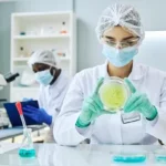 Como evitar a resistência de superbactérias aos antibióticos