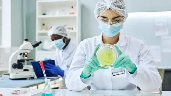 Como evitar a resistência de superbactérias aos antibióticos