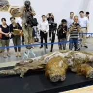 Descobertas Fascinantes: O Mundo Revelado pela Arqueologia Glacial