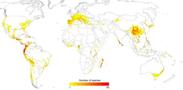 Anfíbios em Perigo: Mudanças Climáticas e Medidas para a Preservação