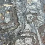 Seca sem Precedentes na Amazônia Revela Gravuras Rupestres Antigas e Oficinas Líticas