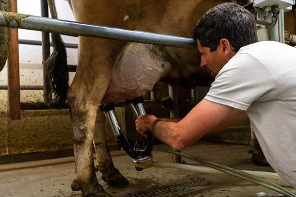 Os Desafios Éticos e Práticas Ocultas na Indústria Alimentícia