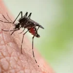 A Utilização de Armas Biológicas na Luta contra Epidemias