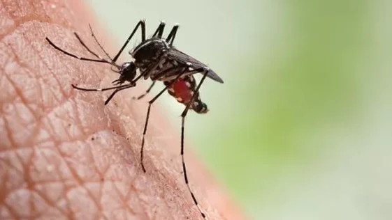 A Utilização de Armas Biológicas na Luta contra Epidemias