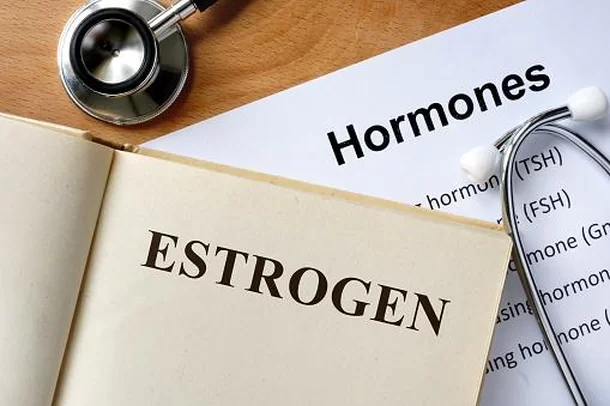 Estudo Pioneiro Revela Correlações Entre Ciclo Menstrual e Estrutura Cerebral