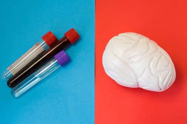 Estudo Pioneiro Revela Correlações Entre Ciclo Menstrual e Estrutura Cerebral