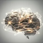Estudo Pioneiro Revela Correlações Entre Ciclo Menstrual e Estrutura Cerebral