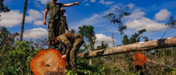 5 boas noticias sobre a natureza e o clima em 2023