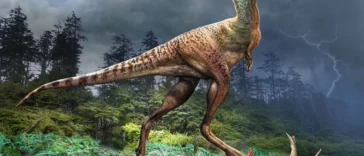 5 descobertas incriveis sobre os dinossauros em 2023